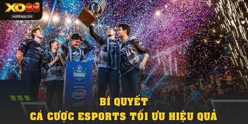 Bí quyết cá cược Esports tối ưu hiệu quả